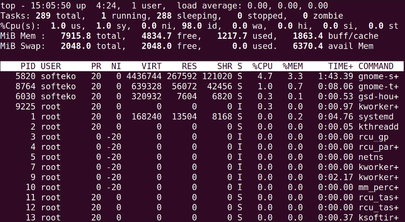 Using top command