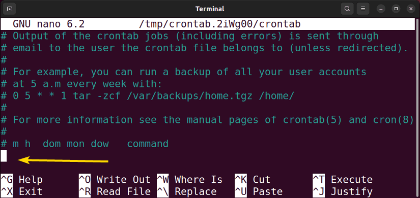 Crontab in nano editor.