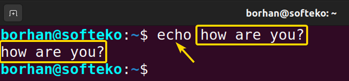 output for the echo command with argument