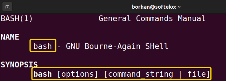 From the man page name and synopsis of bash in Linux are highlighted. 