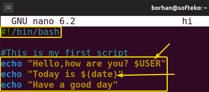 Making bash script in nano text editor