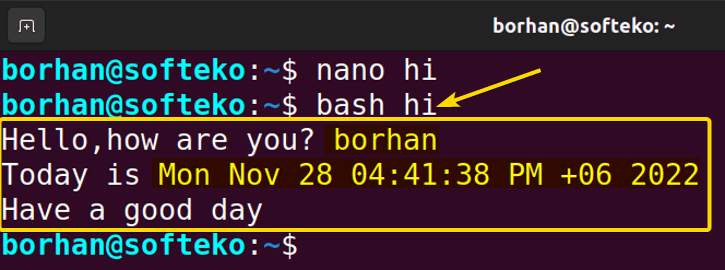executing the bash text file