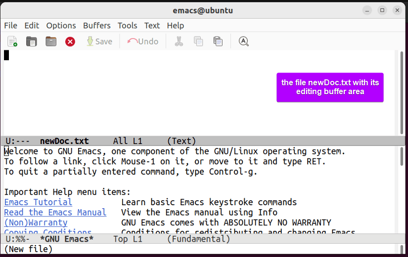 file open with editing buffer