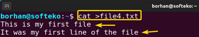 Create a new file using "cat" command in Linux