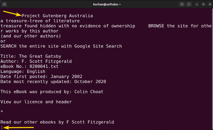 Opening the first page of a large file using cat command in Linux