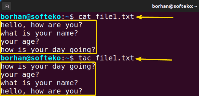 Display contents of a file in reverse order