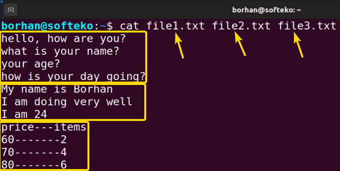 Display the contents of multiple files using cat command