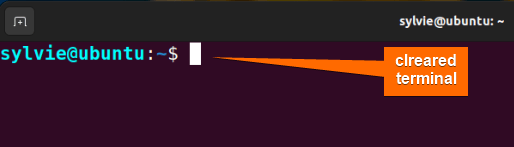 Clears the Terminal