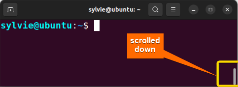 Scrolls Down the Terminal