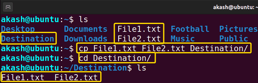 copying files into directory using cp command