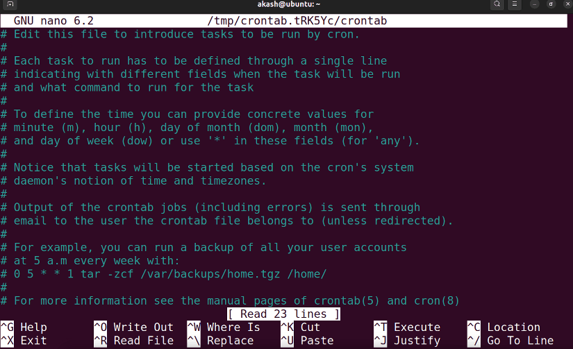 nano editor opened