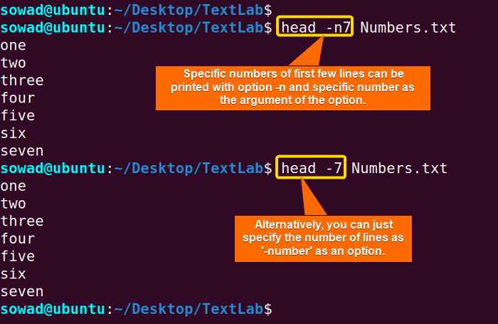 Printing the first 7 lines of a file using the head command in Linux.