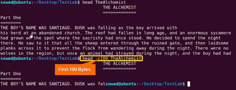Printing the first 100 bytes of a file using the head command in Linux.