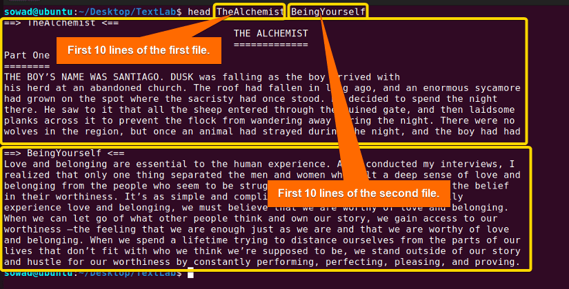 Printing the first 10 lines two different files using the head command in Linux.