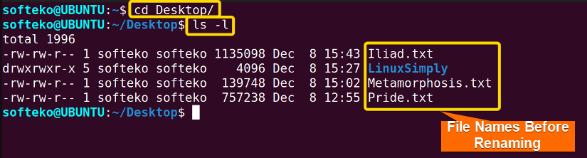 before renaming using mv command in linux