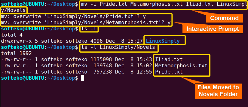 after moving with overwriting using prompt