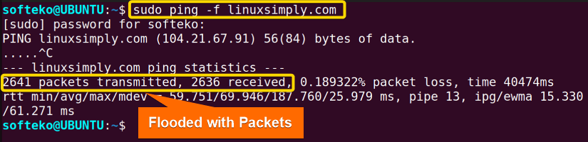 Flooding a host using ping command in lInux