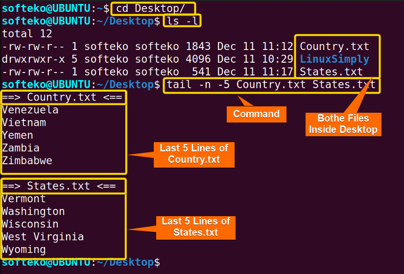 Opening multiple files using tail command in linux