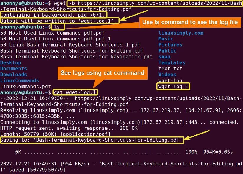 Downloading Files in the Background using wget command.