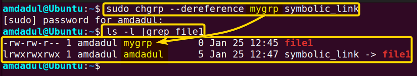 The group of the main file is changed without changing the group of the symbolic link.