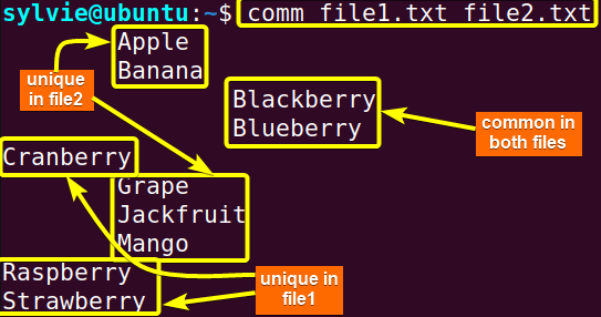 Compare Two Sorted Files