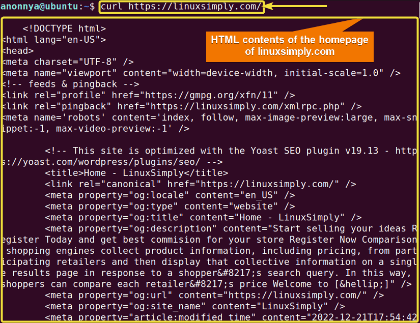 Displaying file content on terminal Using curl command i linux.