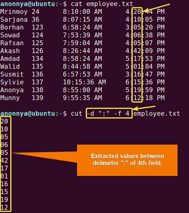 Extracting the values between “:” of the 4th field of text file using the cut command in Linux