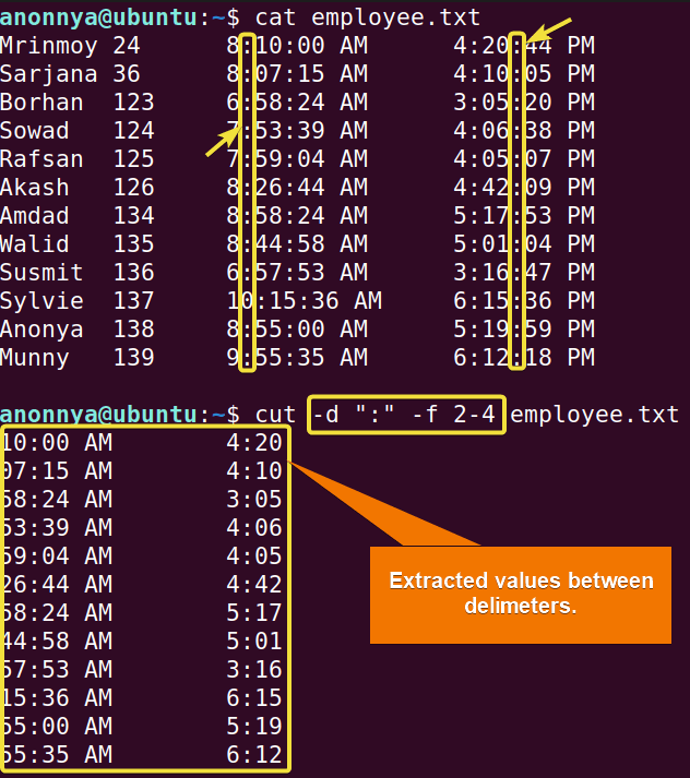 Printing out texts between the “:” delimiter from multiple fields.