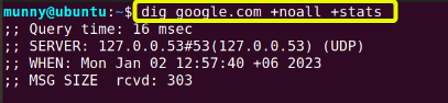 Stat section of the output of the dig command.