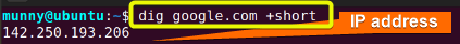 Short option with the dig command in linux.