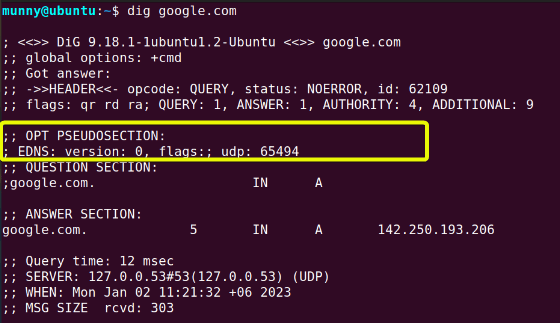 OPT section of output display.