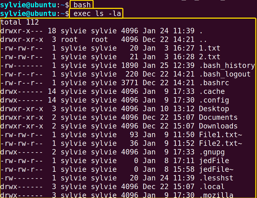 List the Contents of the Current Directory in Long Format Using the “exec” Command in Linux