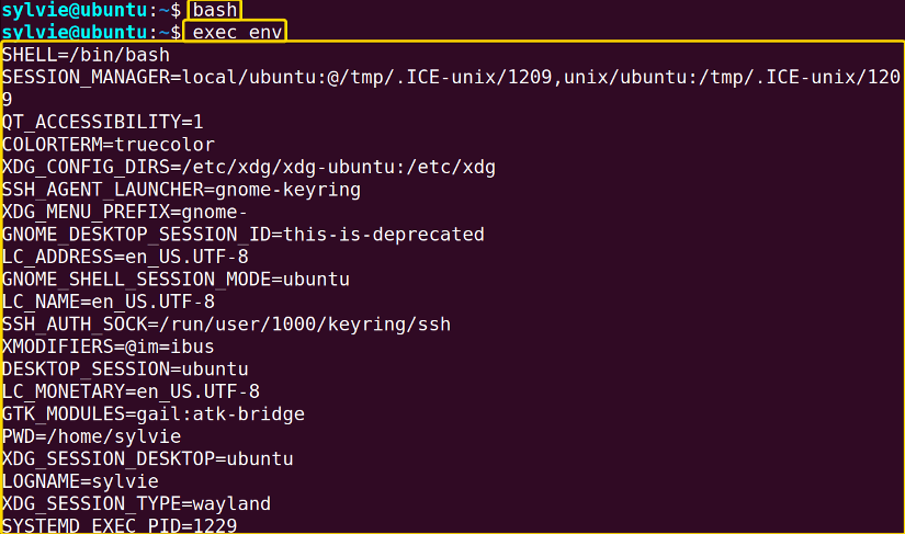 List All Environment Variables And Their Values