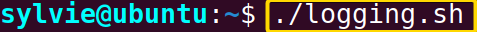 Log Stdout & Stderr In the Bash Script Using the “exec” Command in Linux