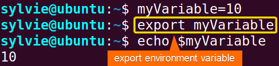 Export Declared Variable Using the “export” Command in Linux