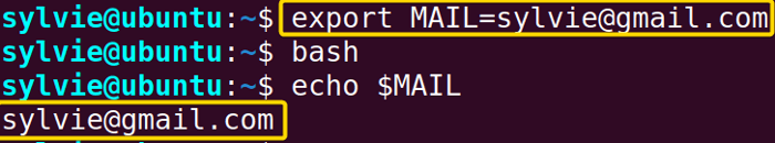 Set an Email Address to Receive Mail Notifications