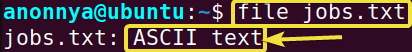 Determining Type of a File Using the file Command in Linux