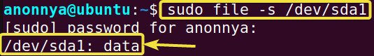 Printing types of Special Files Using the file Command in Linux