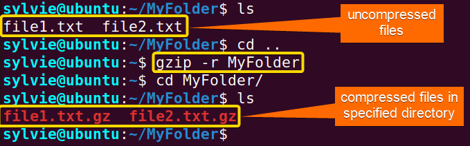 Compress All Files of a Specified Directory Using the “gzip” Command in Linux