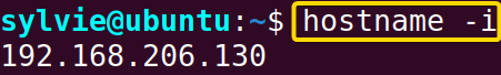 Check the IP Address of a Server Using the “host” Command in Linux