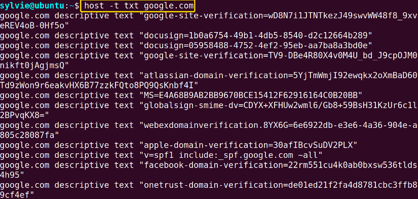 Query the DNS Server For TXT (text) Records Using the “host” Command in Linux