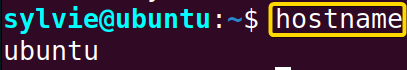Check the Hostname of a Server