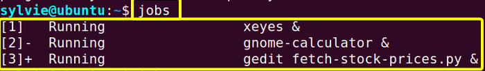 View Running Jobs Using the “jobs” Command in Linux 