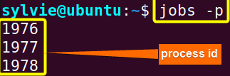 View the Process ID of Each Job Using the “jobs” Command in Linux