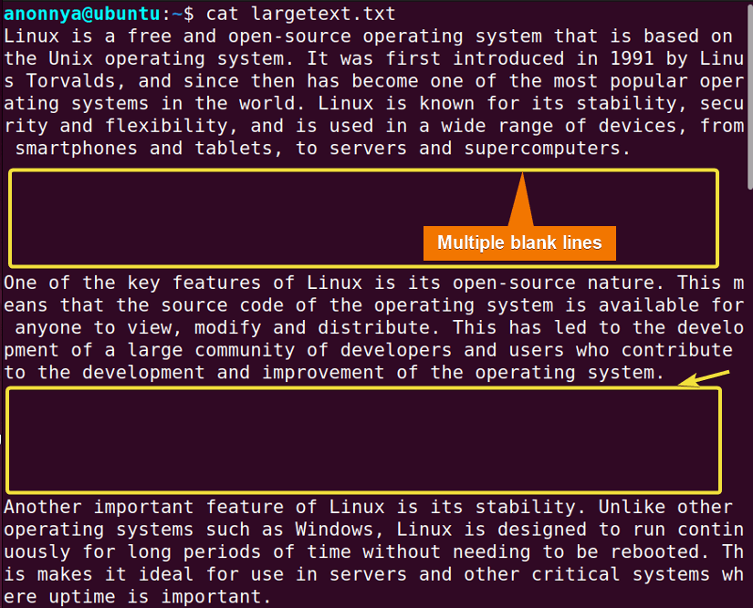 Multiple consecutive blank lines presented in a file.