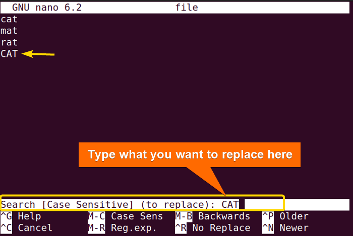Case-sensitive search and typing the word which will be replaced