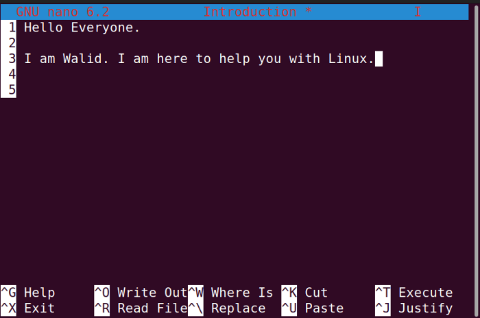 Nano text editor after customization