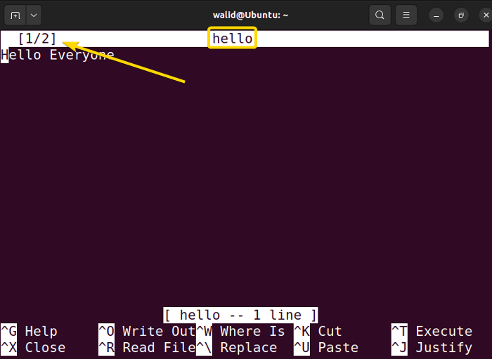 opening multiple files using the nano command in linux