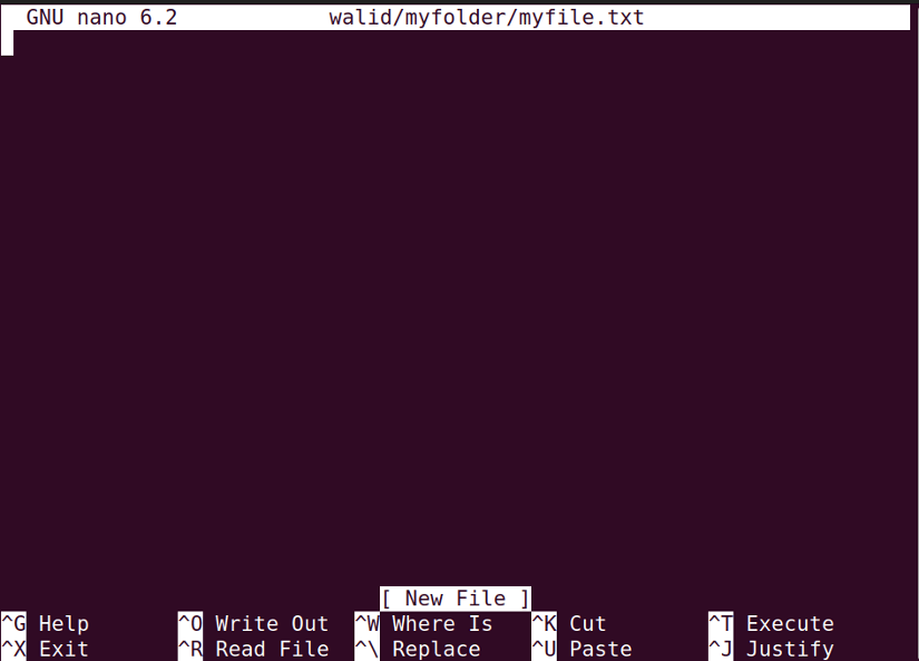 Opening a file using the nano command in Linux