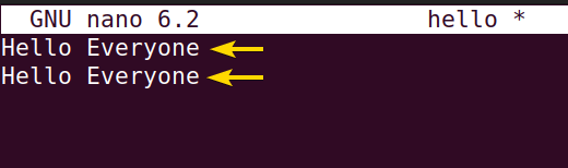 First line is copied line to second line using the nano command in Linux